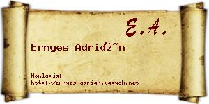 Ernyes Adrián névjegykártya