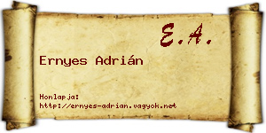Ernyes Adrián névjegykártya